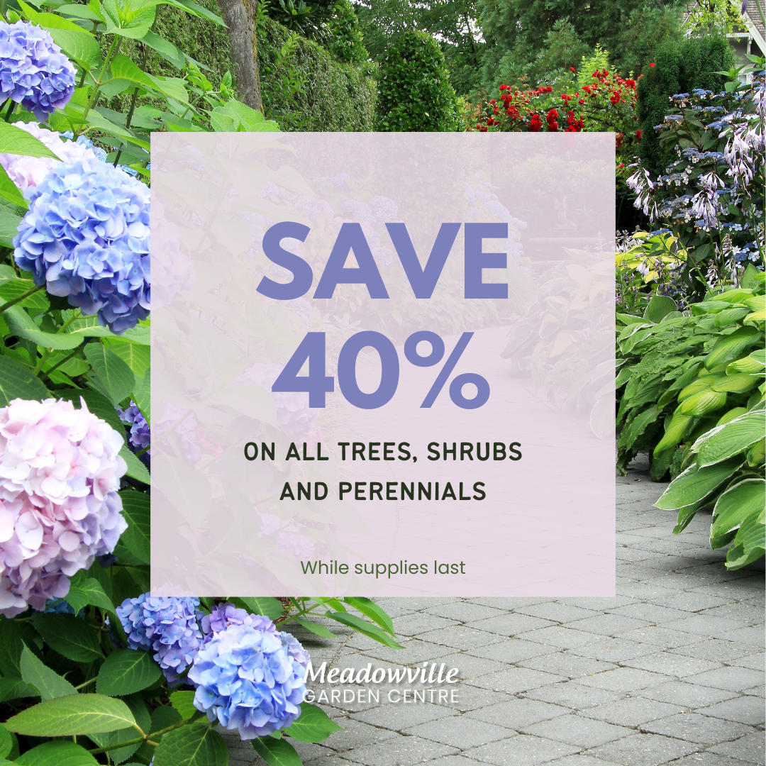 Garden center promo for 40% off plants